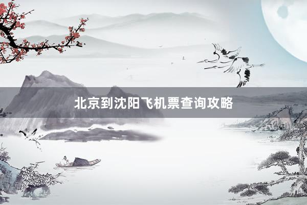 北京到沈阳飞机票查询攻略